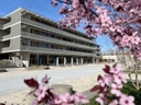 Marieluise-Fleißer-Realschule, Staatliche Realschule München III